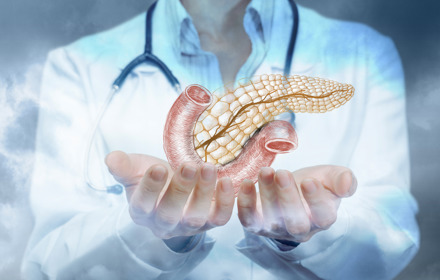 Medical Researchers Pancreas