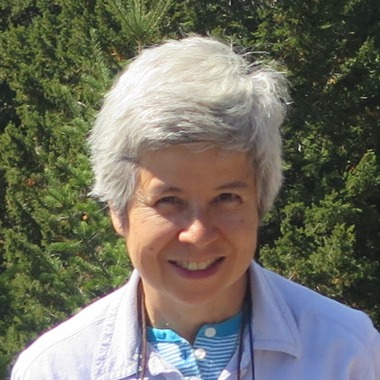 Professor Susan Wong