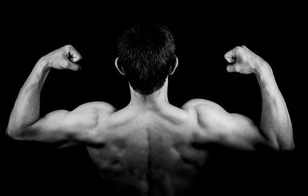 Musklerbiceps