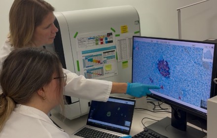 T1d Worse In Young Report Pic