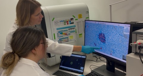 T1d Worse In Young Report Pic