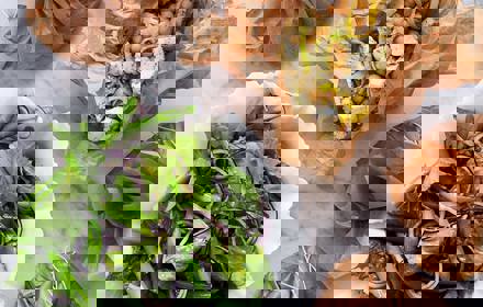 19932016 1856714347924024 921538259023036416 N