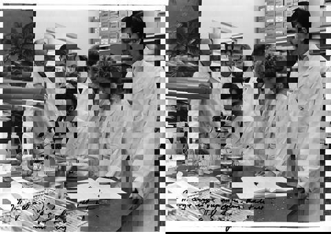 Islet Photo Researchers