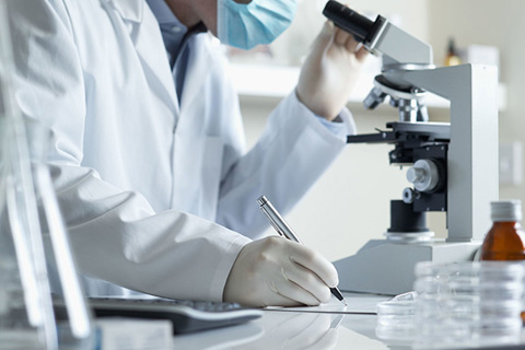 Drwf Research Microrna Study Web
