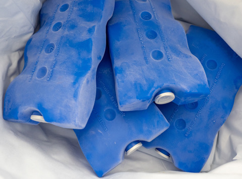 Four Blue Freezer Packs In A Cool Bag