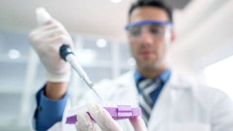 Research Purple