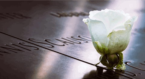 Memory Banner