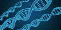 Image of DNA strands. 