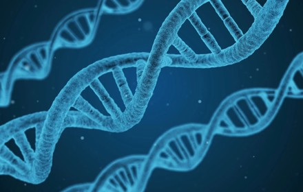 DNA Image