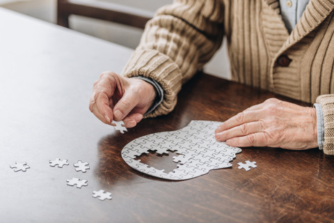 Elderly Person With A Jigsaw