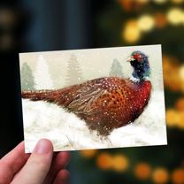 FESTIVE PHEASANT