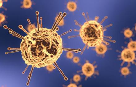Coronavirus Covid