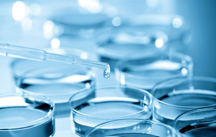 Petri Dish Banner Image