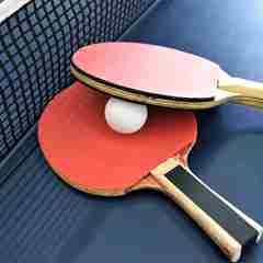 Table Tennis Bats Image