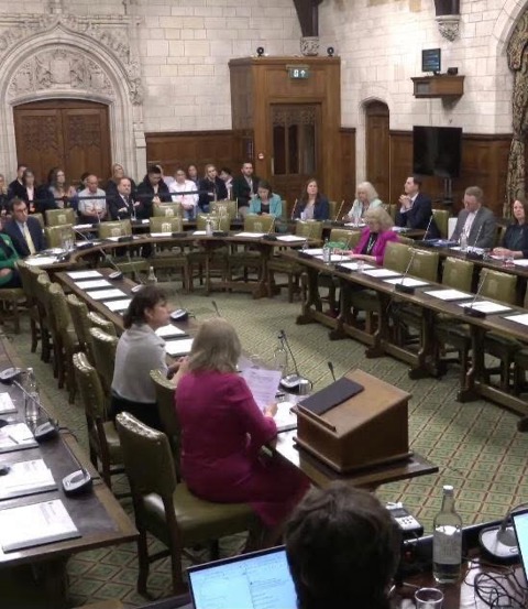 Lylas Law Discussed In Parliament Parliament Debate