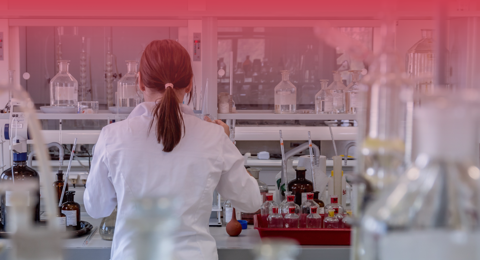 Blood Test Procedure In The Laboratory Image