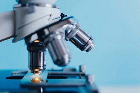 Microscope Analysis In Laboratory