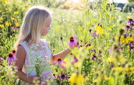 Midsommar 2020