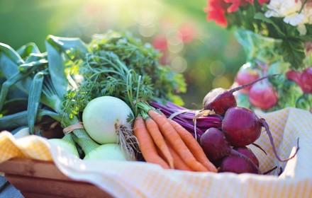 Vegetables In A Basket