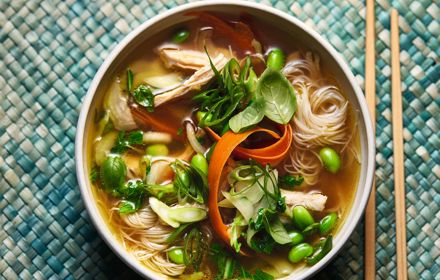 AG Recipes Low Appetite Rice Noodle Chicken Broth