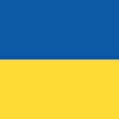 Ukraine Flag Image