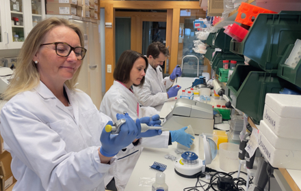 Lab Charlotte Ling