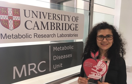 DRWF Research Rajna Golubic