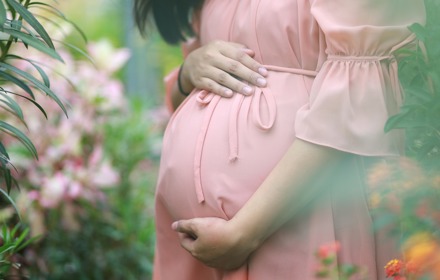 Gravid (1)